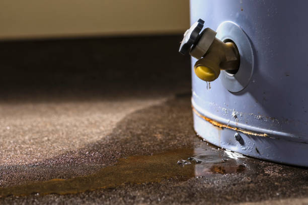 Water damage restoration experts in Randallstown, MD