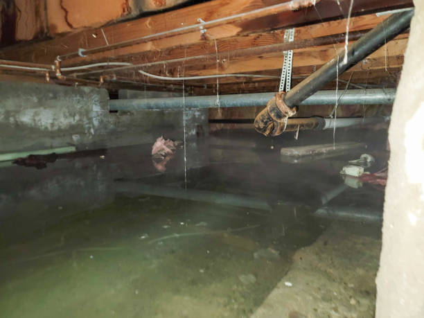 Best Water damage restoration cost  in Randallstown, MD