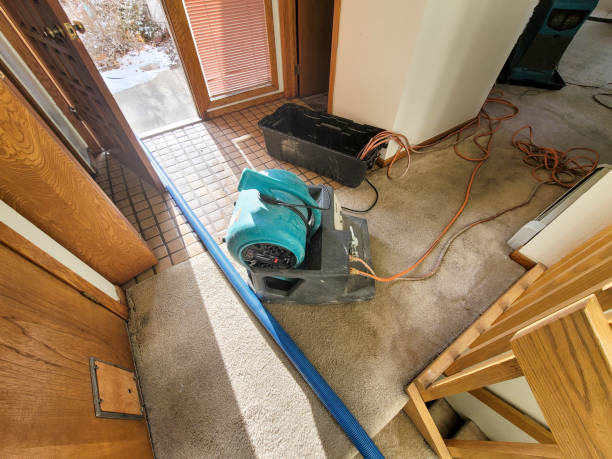 Best Water damage restoration near me  in Randallstown, MD