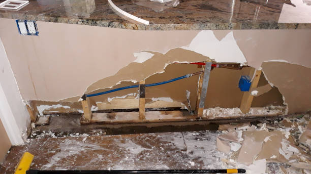 Best Basement water damage restoration  in Randallstown, MD