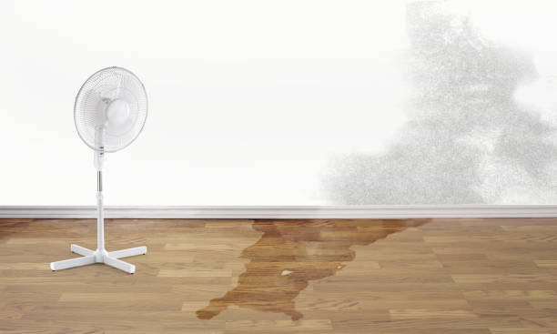 Best Emergency water damage restoration  in Randallstown, MD