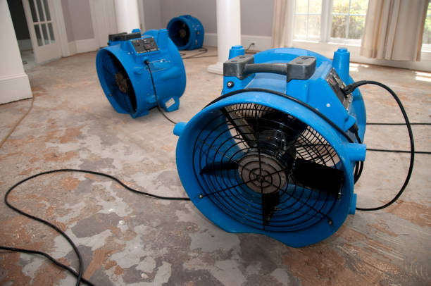 Best Water damage contractors near me  in Randallstown, MD