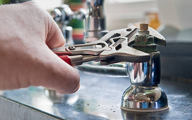 Best Mold removal after water damage  in Randallstown, MD