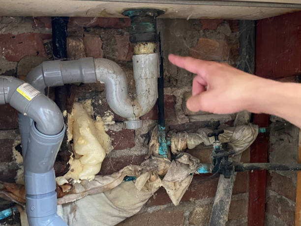 Best Professional water damage repair  in Randallstown, MD